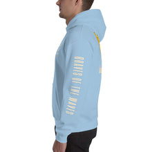 Load image into Gallery viewer, Unisex Hoodie