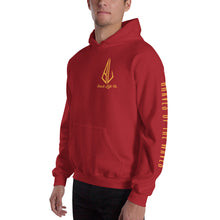 Load image into Gallery viewer, Hooded Sweatshirt