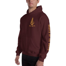 Load image into Gallery viewer, Hooded Sweatshirt